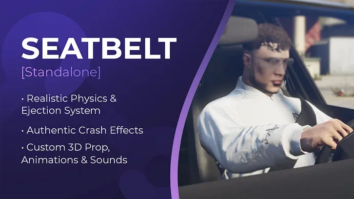Mosoto Seatbelt